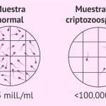 Antiabortivo y descendencia