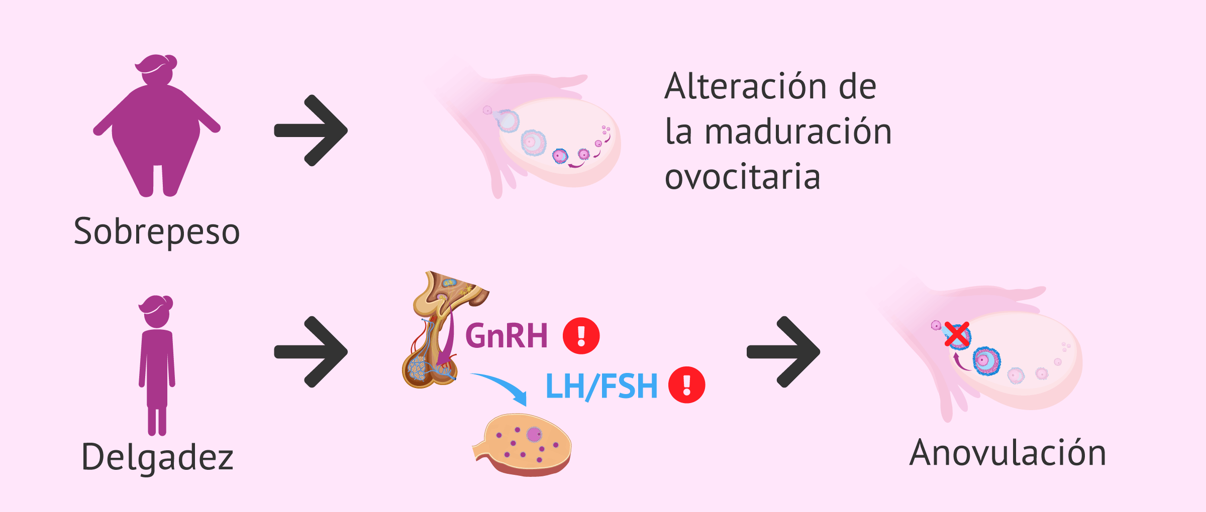 Fertilidad y alimentación