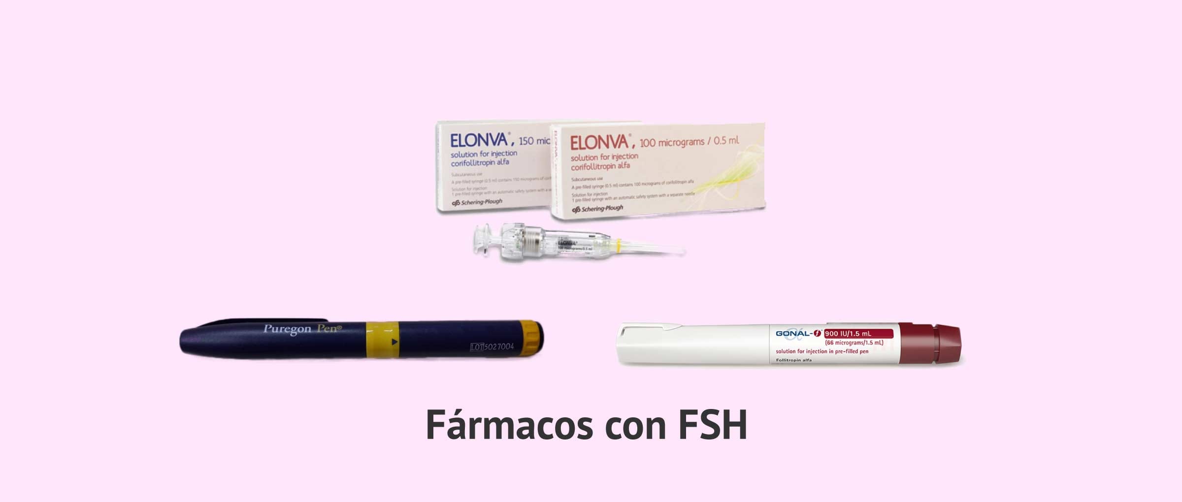 FSH. Estimulación de los folículos Estrimulación folicular por FSH