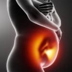 Formación de la placenta y el cordón umbilical
