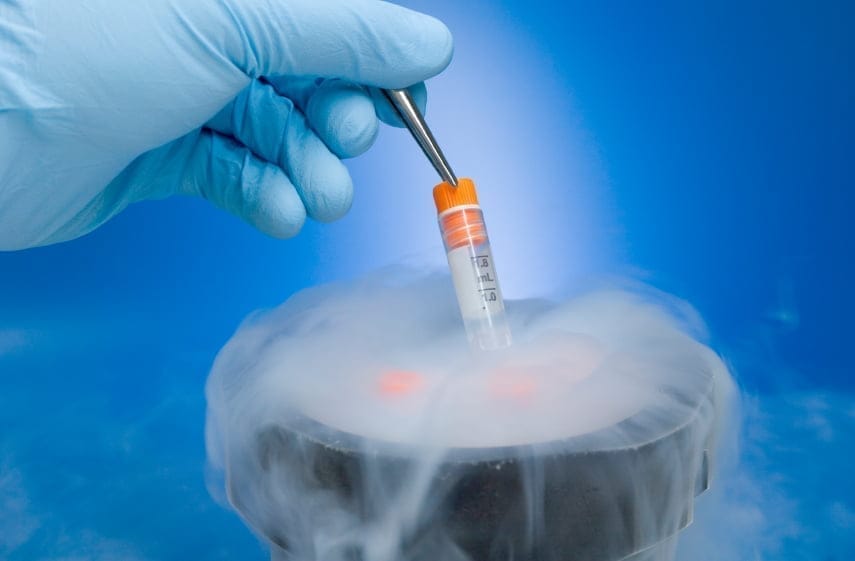 Congelar gametos ante el cáncer