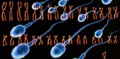 Donación de semen en España