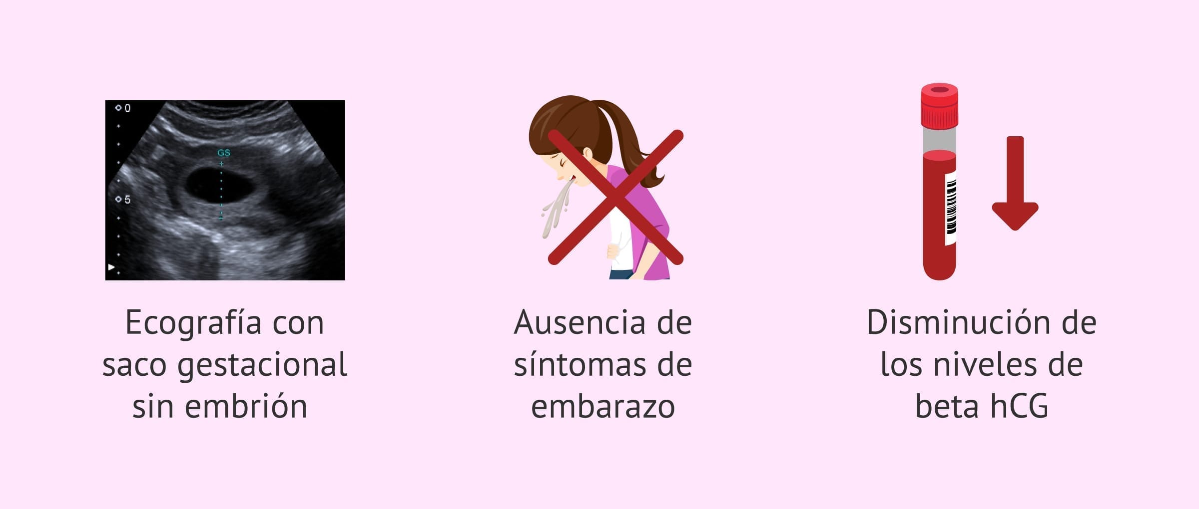 Huevo anembrionado Huevo anembrionado