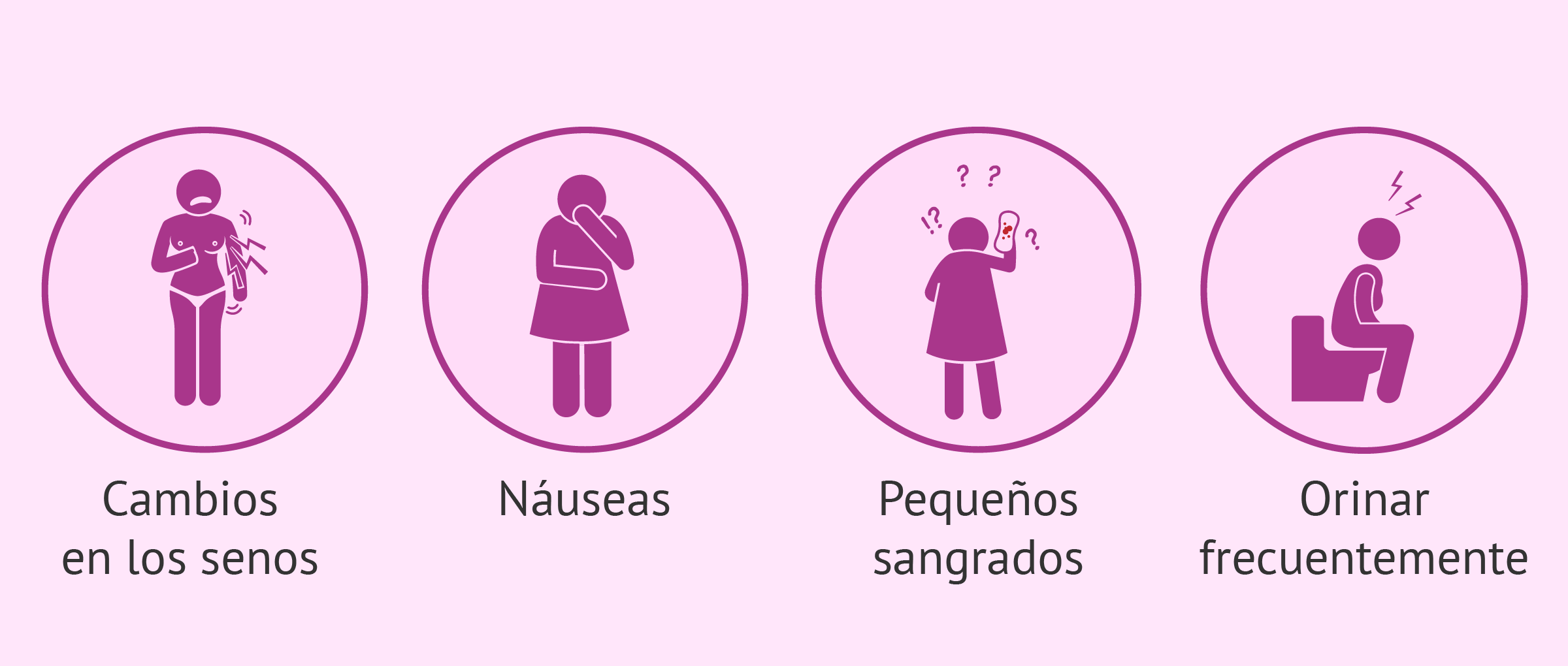 Transferencia, escoger los embriones