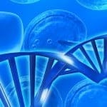 Se han descubierto los genes causantes de la infertilidad humana