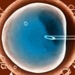 Investigadores de Argentina crean un dispositivo que mejoraría la fertilización asistida