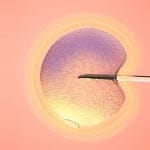 Debate sobre la legalización de la Fecundación in vitro en Polonia