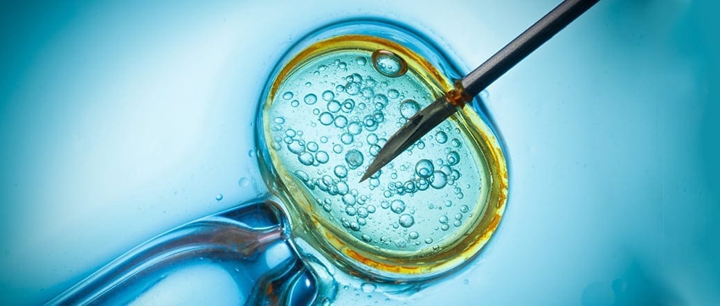 Medicina reproductiva utilizará inyección de espermatozoides para garantizar la reproducción humana