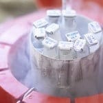 Embriones congelados en adopción
