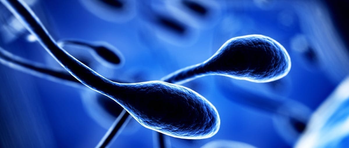 Andar en bicicleta a diario disminuye la calidad del semen