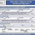 Supresión del cheque bebé