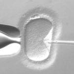 Bebé libre del gen de cáncer de mama