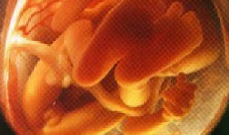 Doce semanas de embarazo El bebé ya tiene reflejos,, entre ellos el reflejo de chupar, lo que le ayudará a alimentarse una vez nazca.