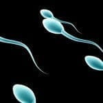 La mayoría de hombres tendrán problemas de infertilidad debido a la mala calidad del esperma si se sigue con el ritmo de vida actual