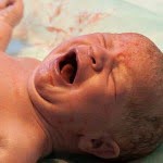 El llanto del recién nacido reproduce los patrones melódicos del idioma que ha oído en el vientre materno