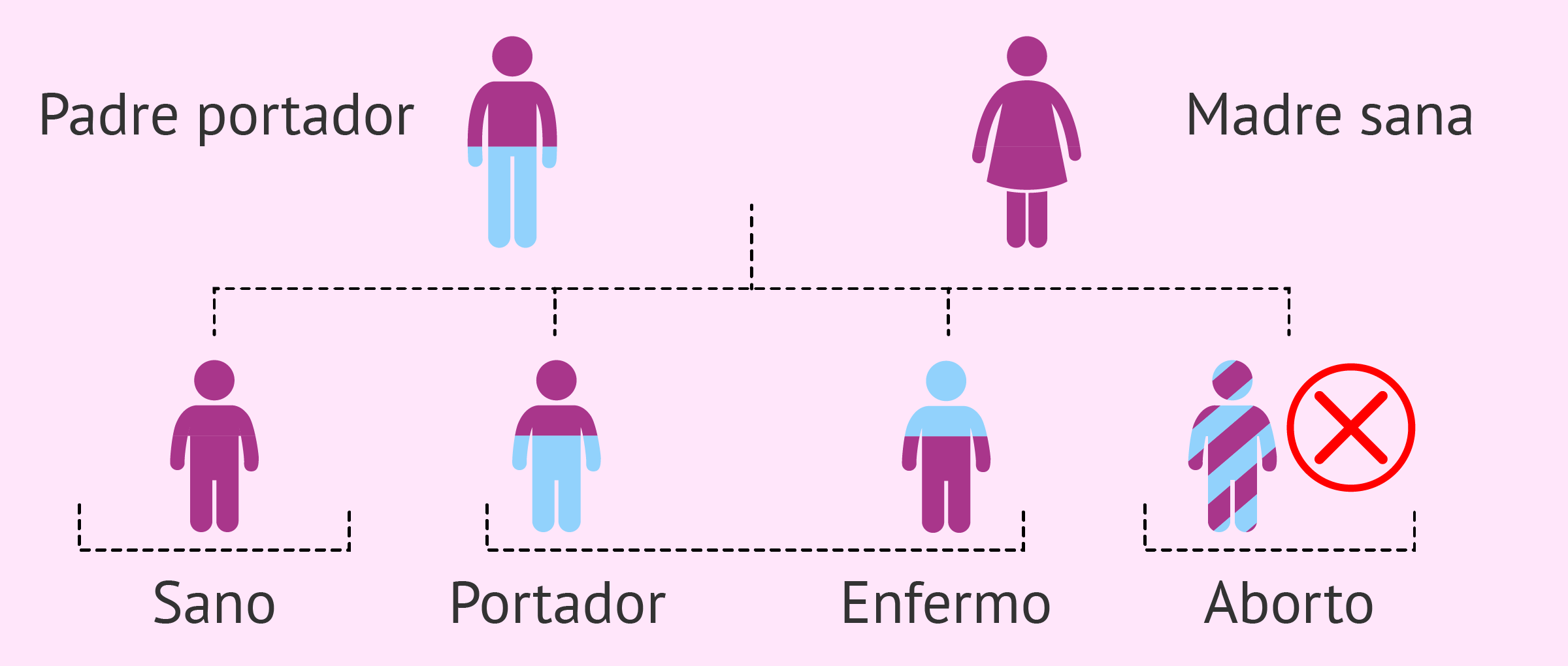Principales causas Principales causas en el aborto de repetición, factores genéticos
