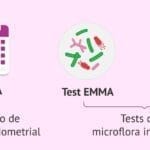 La receptividad uterina como causa de esterilidad