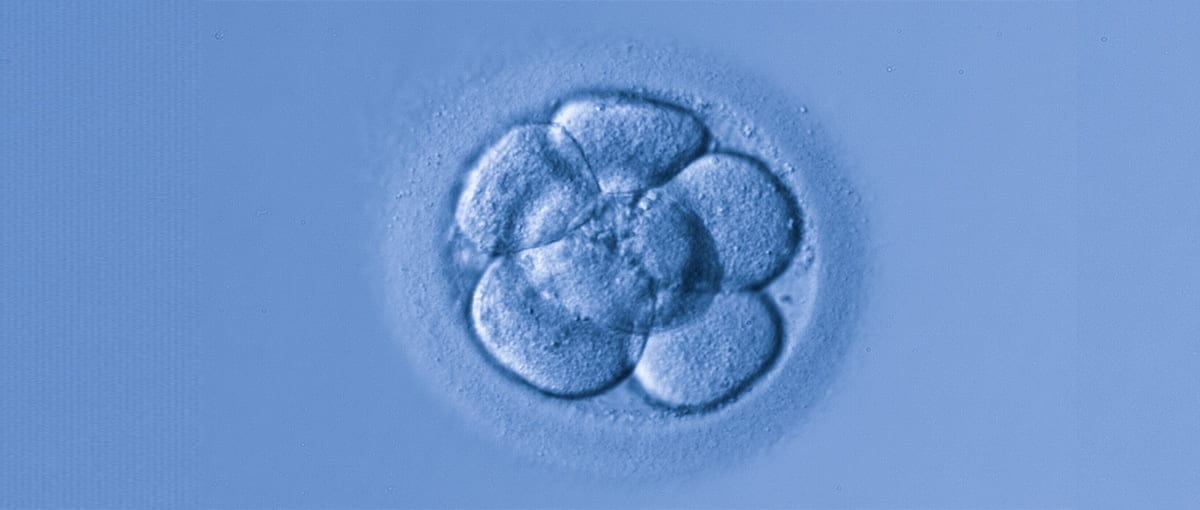 Reproducción Asistida