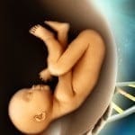 Sanidad aprueba la seleccion de embriones mediante el diagnóstico genético preimplantacional en casos de cáncer hereditario