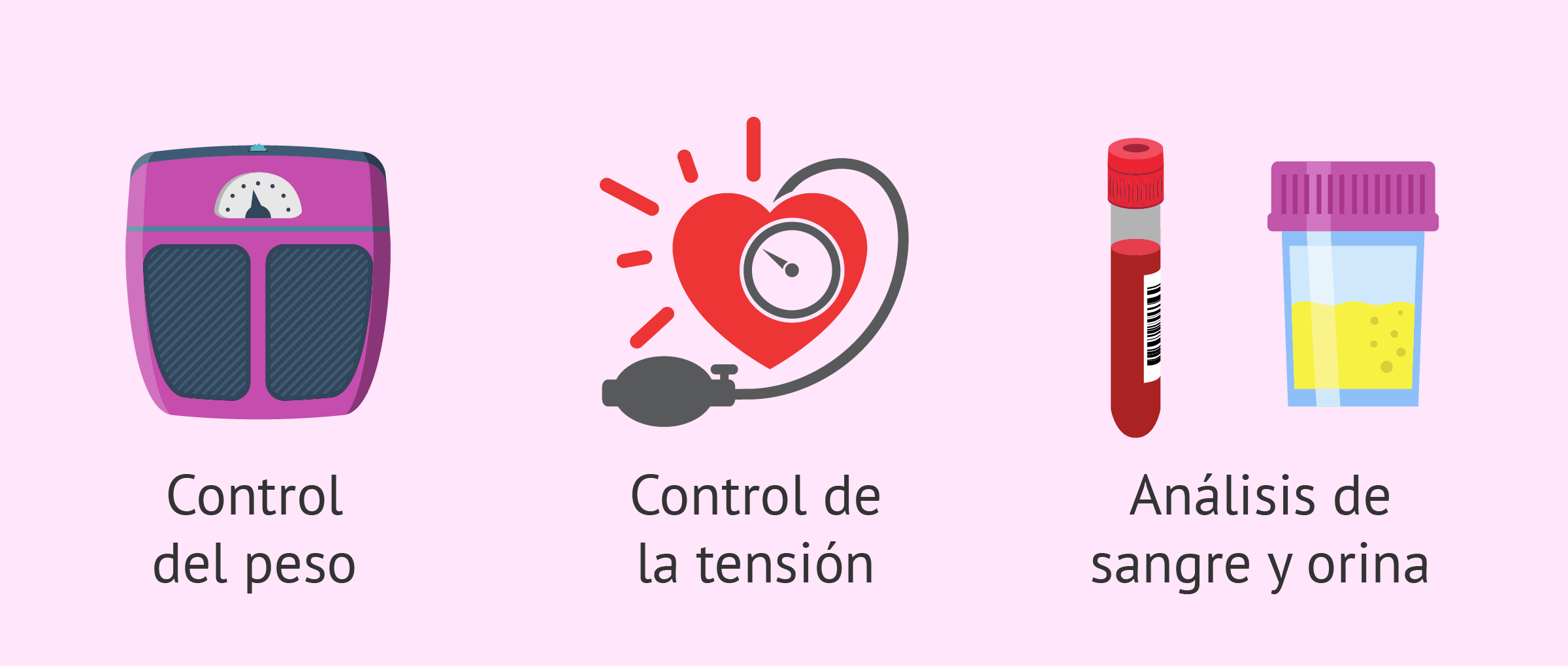 Siete semanas de embarazo Los brazos empiezan a esbozarse durante estos días.
