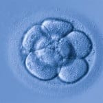 La cantidad de parejas que deciden acudir a un centro de reproducción asistida aumenta notablemente a principios de año