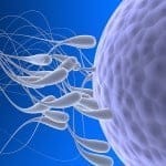 Un estudio revela que la descongelación del semen a 40º C hace que su calidad sea óptima