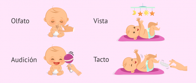 distorsionar Sudor Salida hacia Ejercicios de estimulación temprana para bebés de 0 a 6 meses