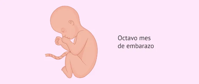 Imagen: 8 meses