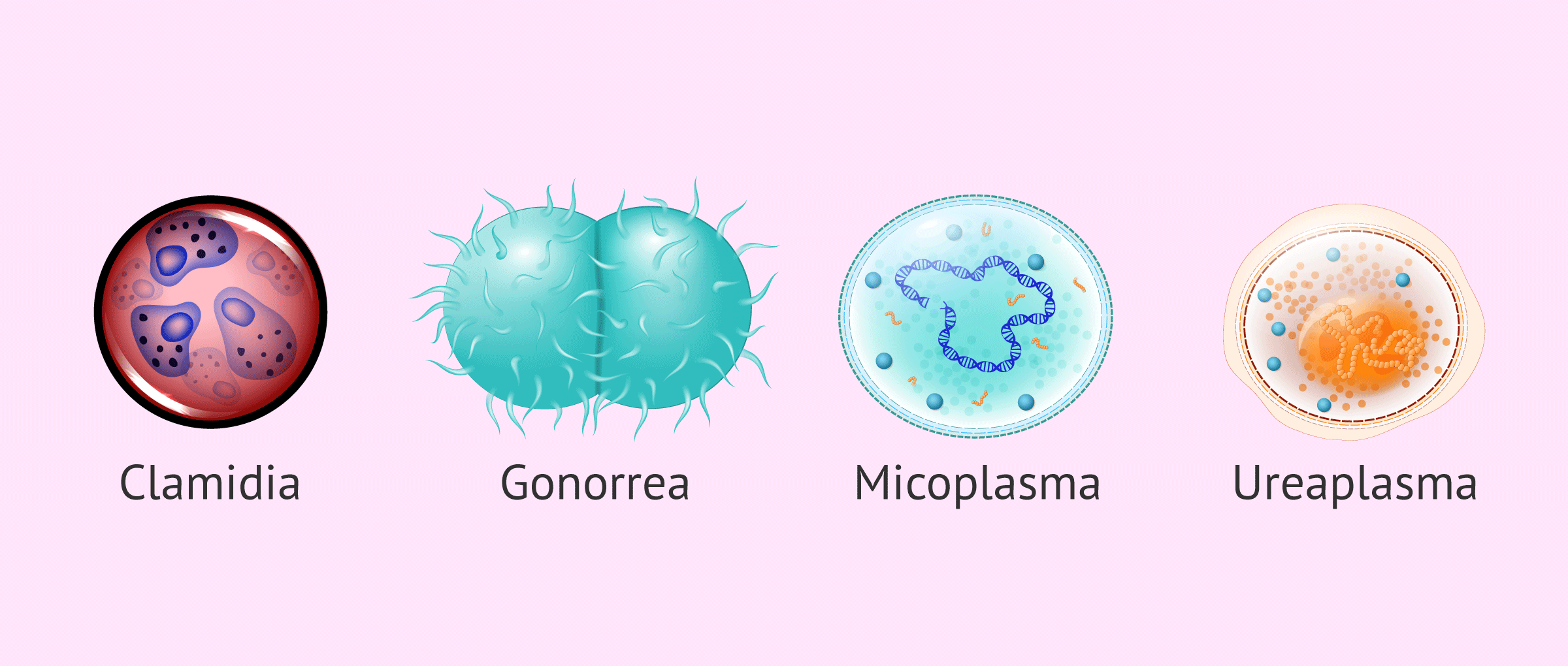 Microorganismos que pueden causar infertilidad