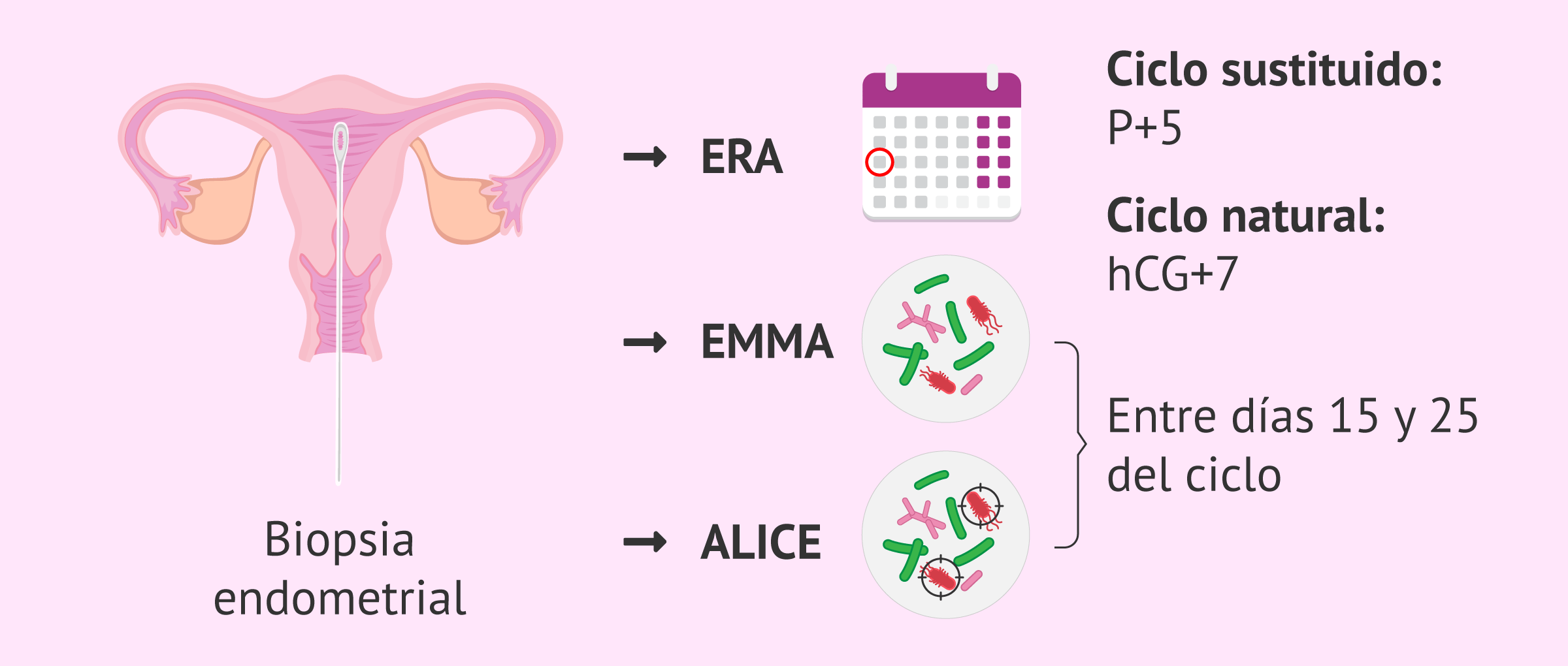 ¿Cuándo hacer la biopsia para el test EndomeTRIO?