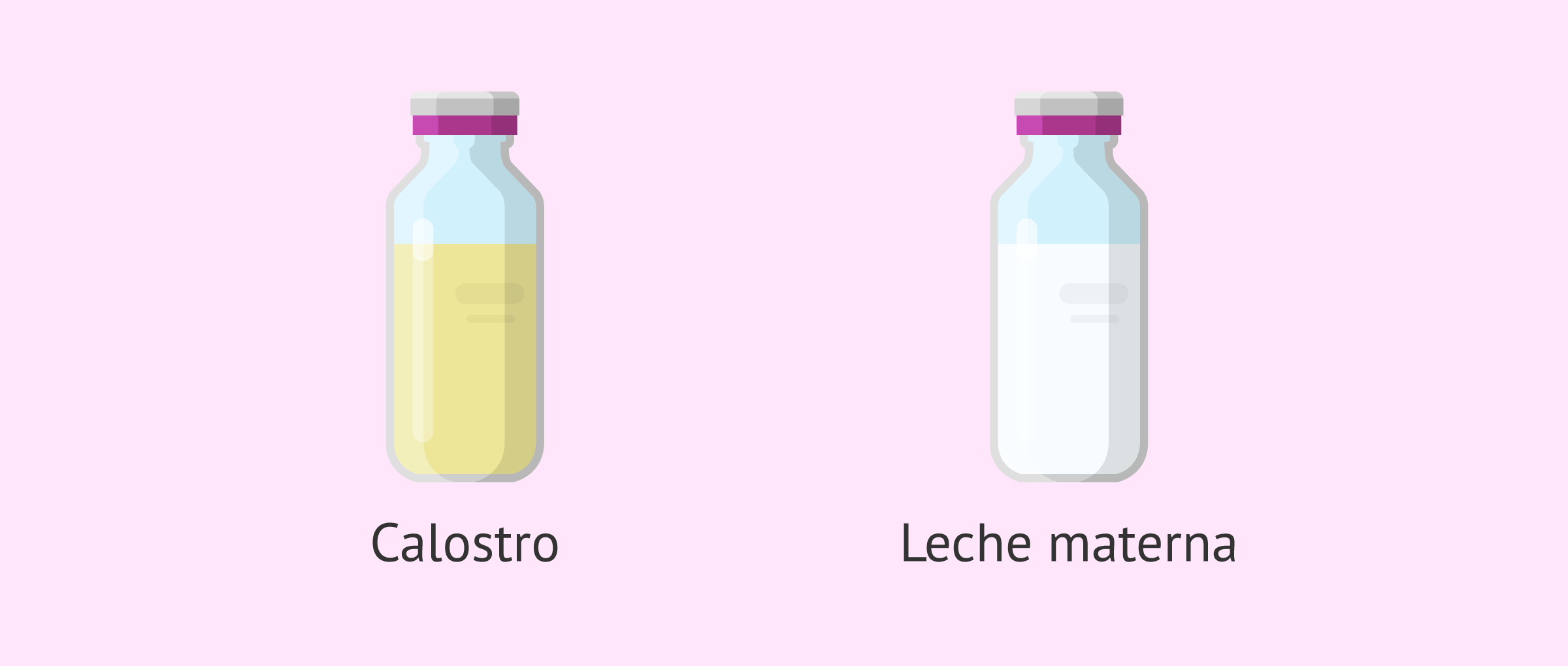 Diferencias entre la primera leche y la leche madura