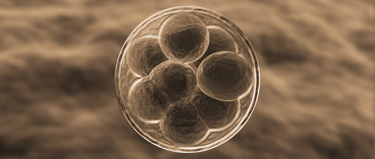 Un médico asegura haber clonado en secreto catorce embriones humanos