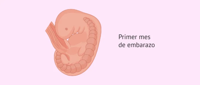 Bebé de 1 mes - Desarrollo del bebé mes a mes