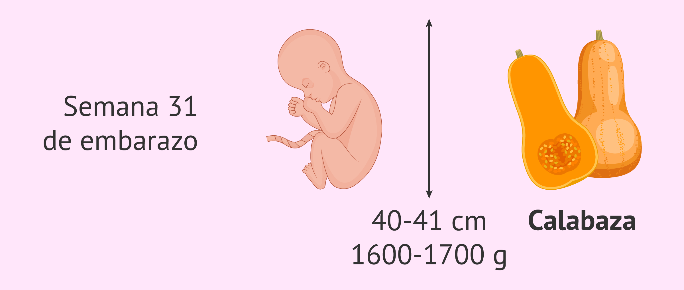 colgar Infrarrojo sentar Cambios en el feto y en la madre en la semana 31 de embarazo