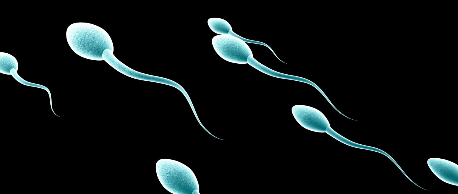 La calidad de los espermatozoides ocasionará a las próximas generaciones problemas de esterilidad para poder ser padres