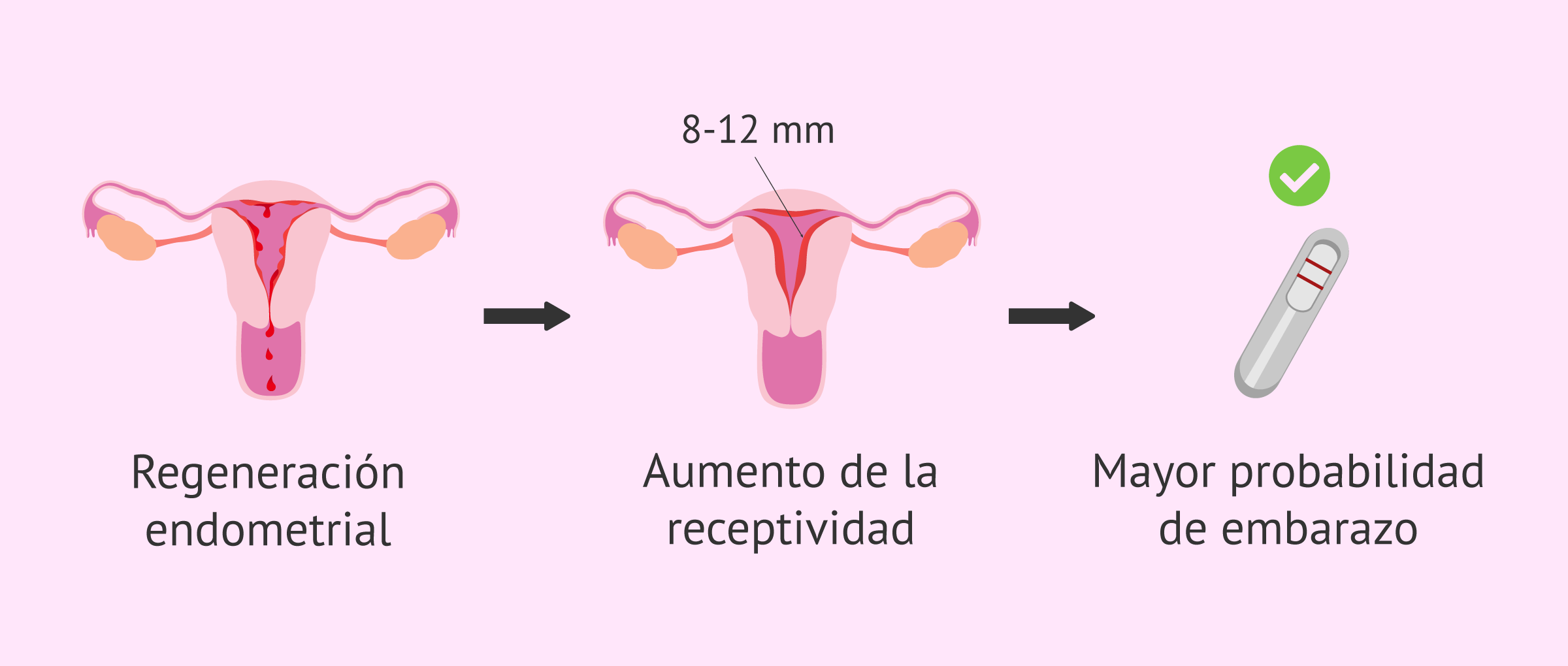 Objetivos del raspado endometrial