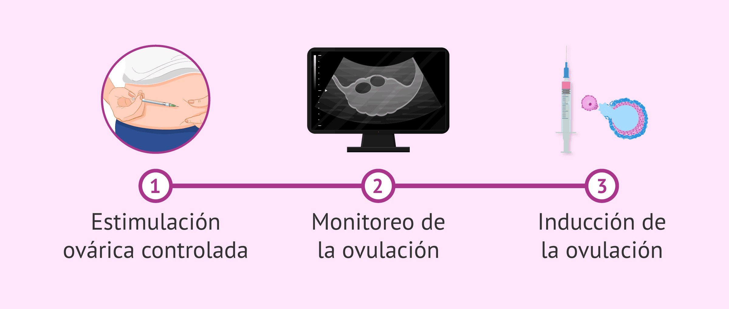 Imagen: Monitorizar la ovulación para IA