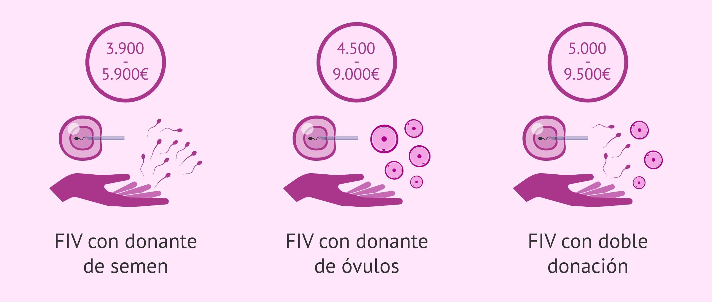 Precio de la FIV con donación de gametos
