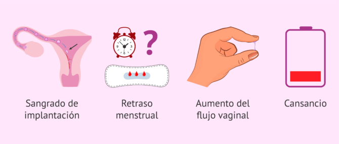 Cuáles síntomas del embarazo a lo largo los 9 meses?