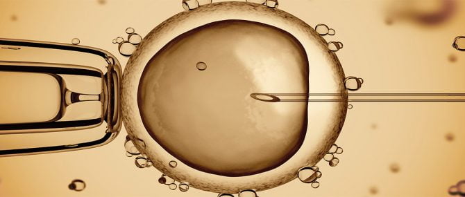 Imagen: Espermatozoides con las cabezas alteradas