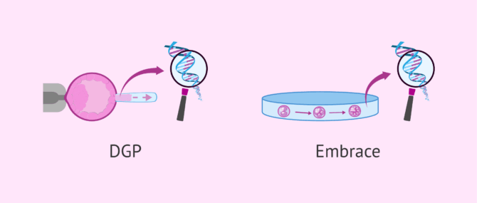 Imagen: test-embrace-vs-dgp-faq