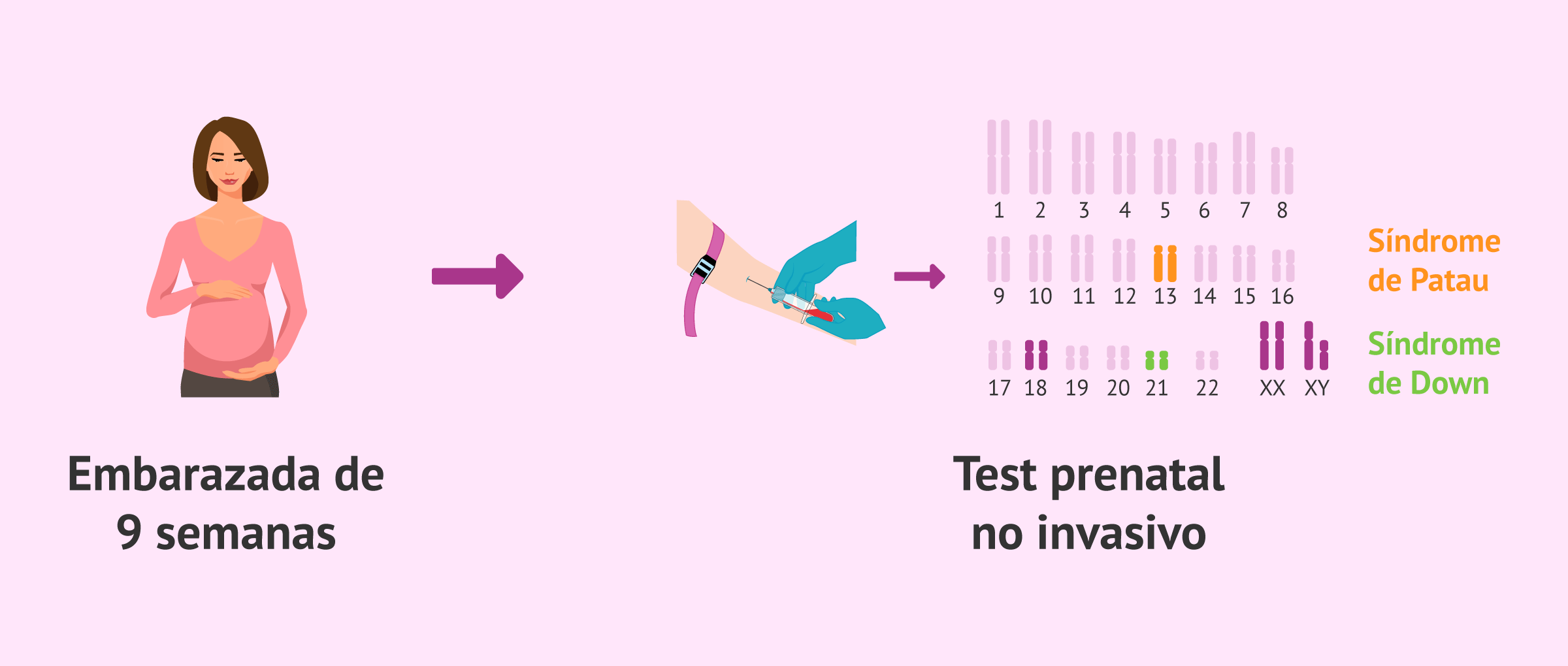 Test prenatal en sangre materna