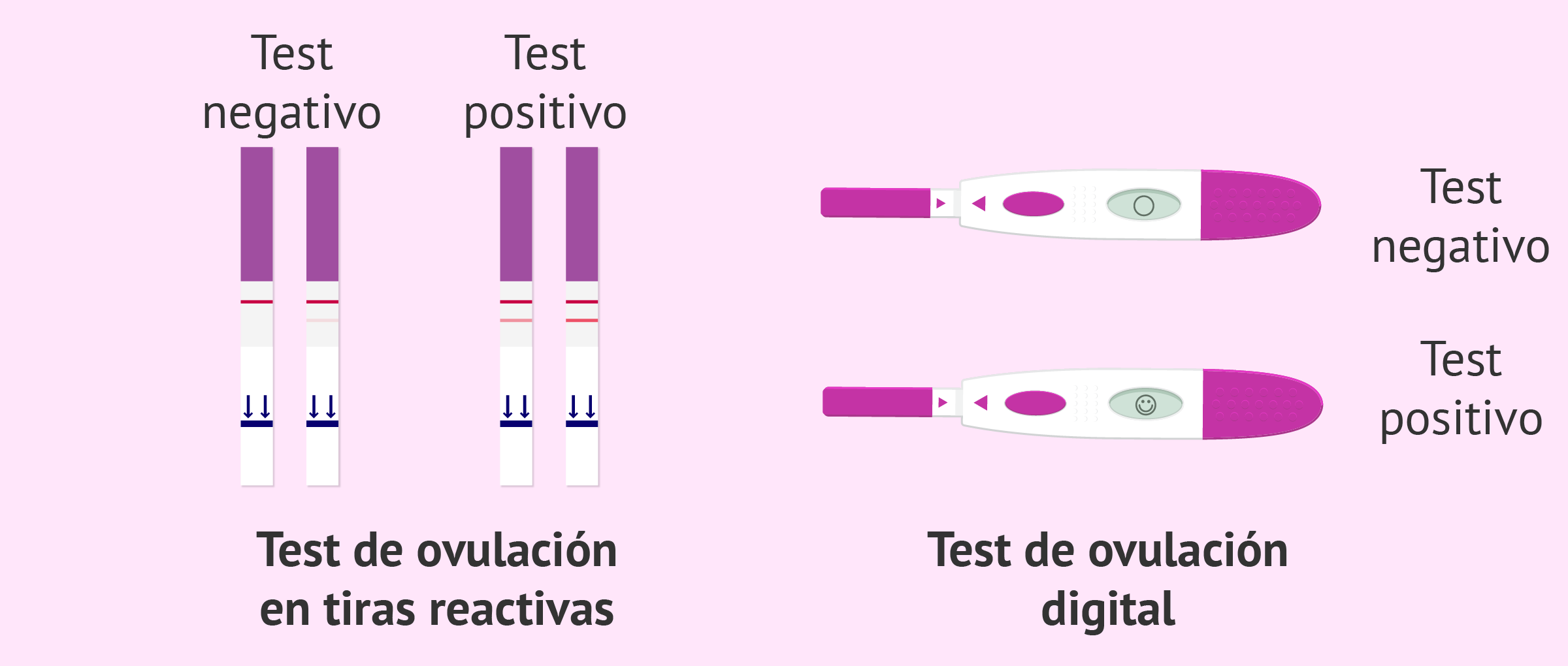 fluido Lo siento Teleférico Test de ovulación: ¿cómo es su funcionamiento y para qué sirven?