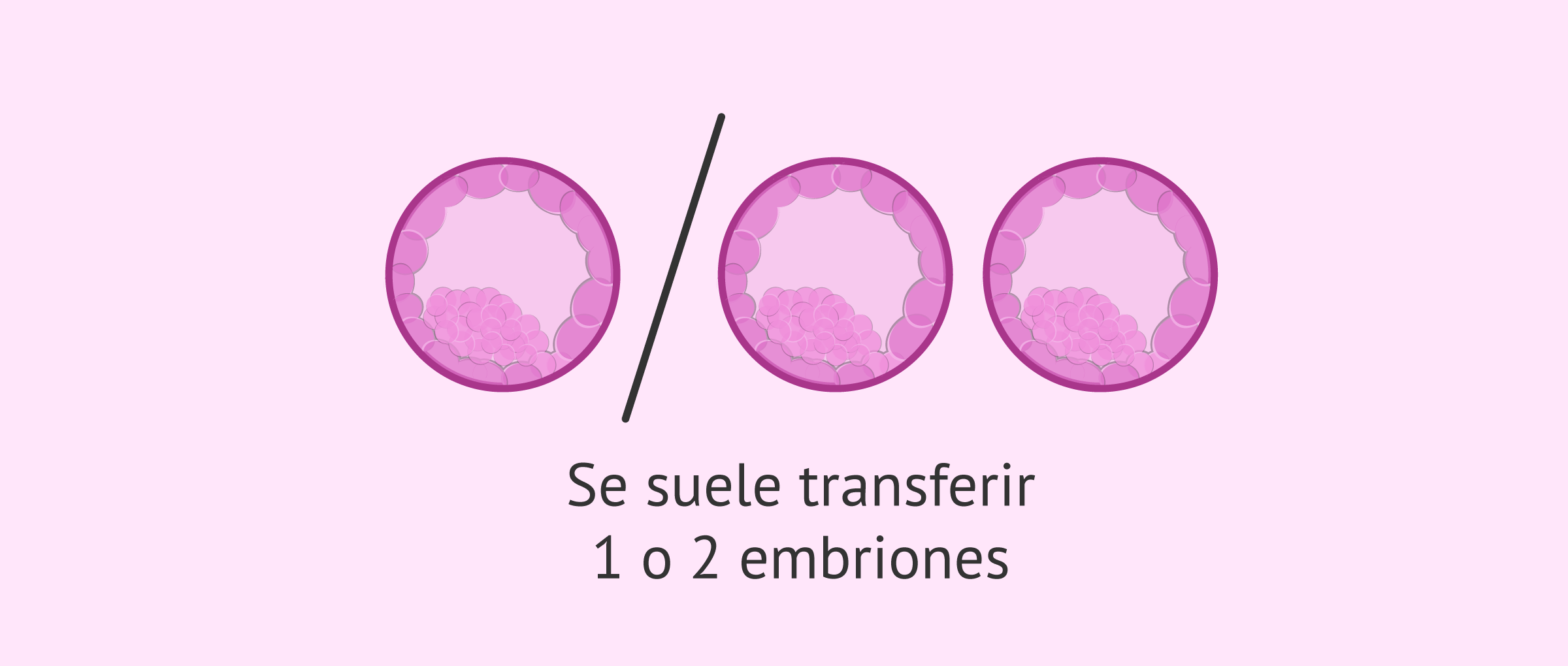 Transferencia de 1 o 2 embriones