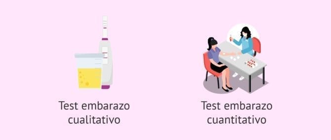 Los niveles de la hormona beta-hCG y las semanas de embarazo