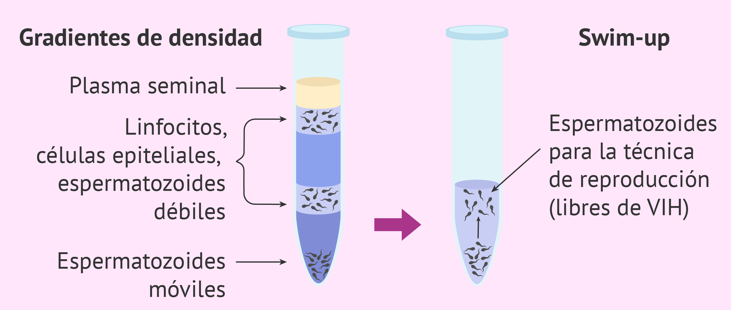 VENDU Amétrine 6