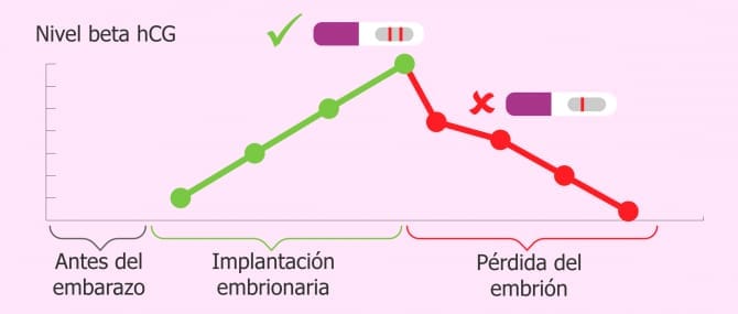Síntomas Después De Una Fiv Positiva