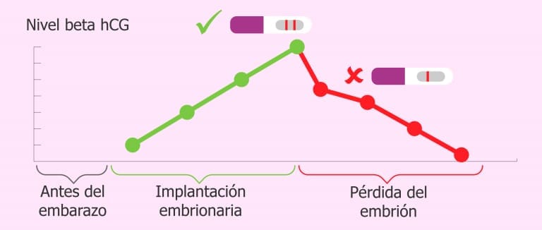 Síntomas Después De Una Fiv Positiva