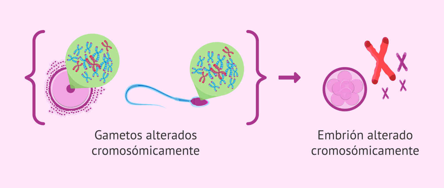 ¿Cuáles son las principales causas del aborto espontáneo?
