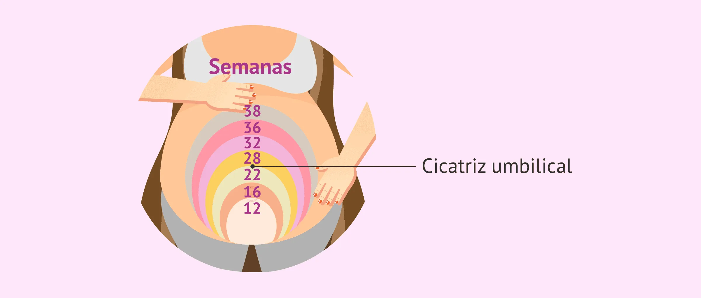 Altura uterina en la semana 28 de embarazo